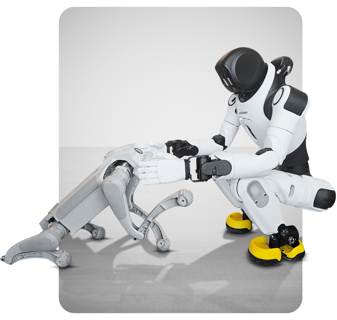 Mango Bot mangobot